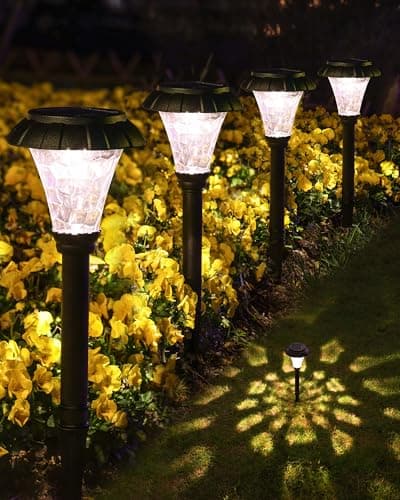 Budget Solar Path Lights