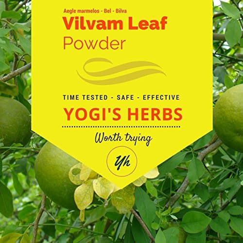 YOGIS Premium Vilvam