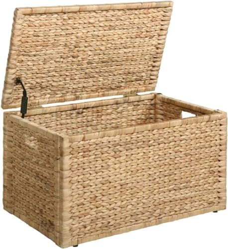 eHemco Wicker Trunk