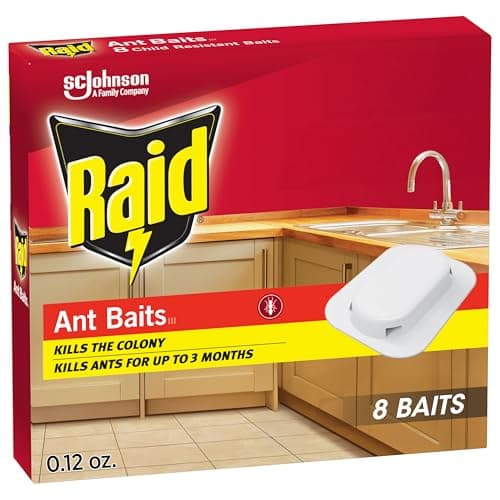 Raid Ant Traps