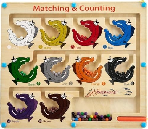 Magnetic Fish Counting Maze