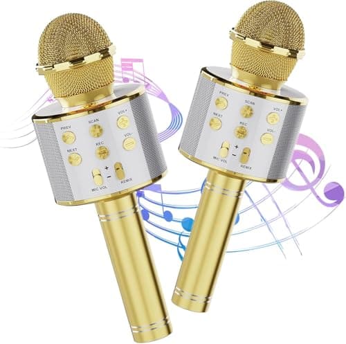 Fun Bluetooth Karaoke