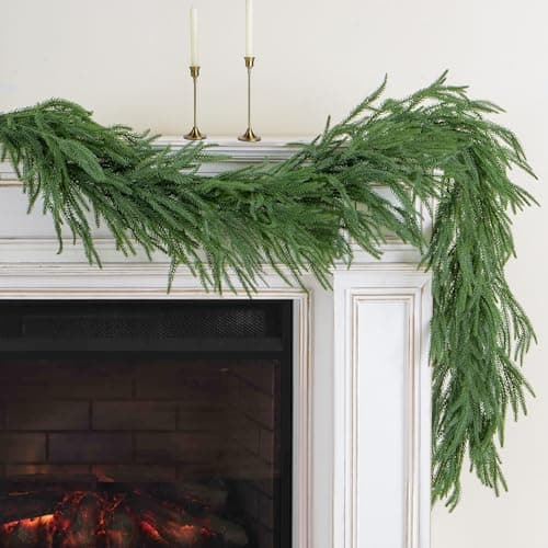 FLAGLY Norfolk Pine