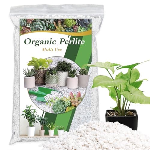 Budget Perlite Amendment