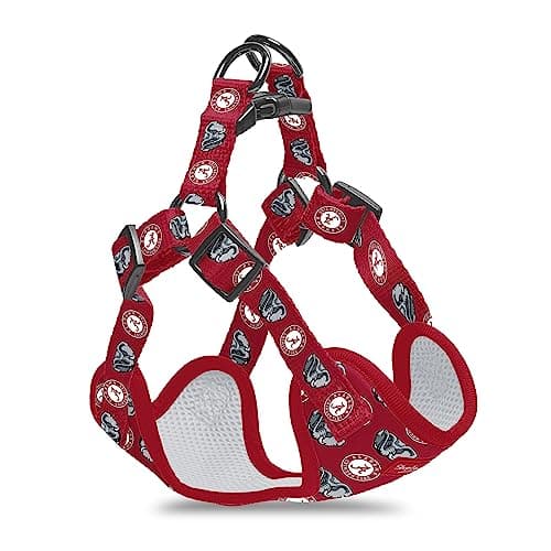 Alabama Step-In Harness