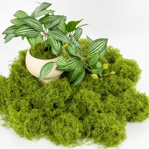 Budget Craft Moss