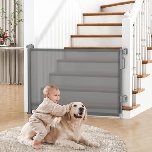 Cideny Retractable Gate