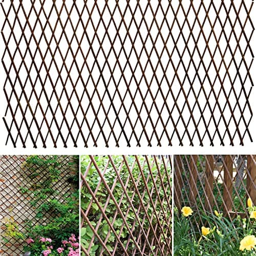Expandable Willow Trellis