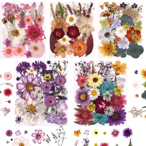 5-Pack Craft Bundle