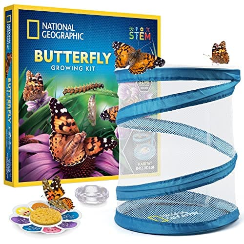 Caterpillar-to-Butterfly Kit