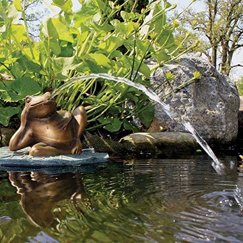 Aquascape Lazy Frog